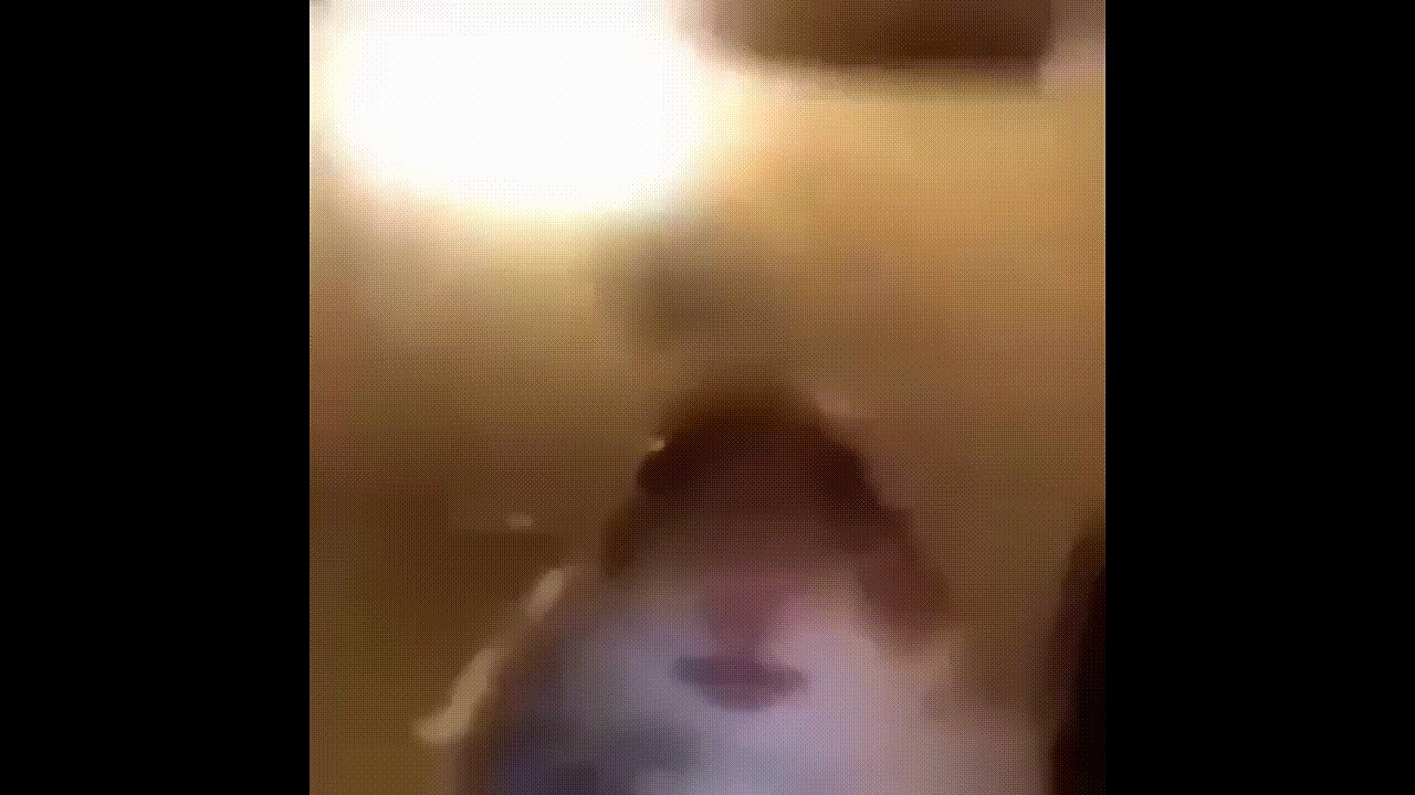 Hamster on FaceTime